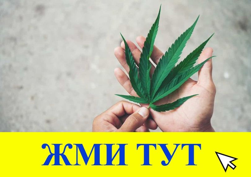 Купить наркотики в Калининграде